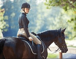 Art of Horse Riding Commentary: A Comprehensive Guide