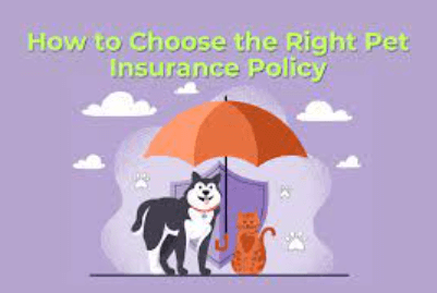 A Comprehensive Guide to Selecting the Ideal Pet Insurance Policy in Greece